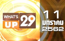 What’s up 29 11-01-62
