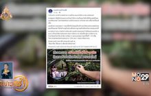 กองปราบฯโพสต์เตือนภัย หลอกไปทำงานต่างประเทศ