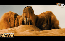 Entertainment Now 11-12-58