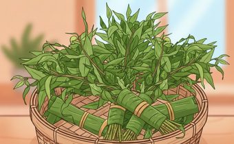 ผักแพว สมุนไพรผักพื้นบ้าน ของดีที่คนวัยทำงานไม่ควรมองข้าม