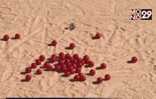 ทีมอังกฤษคว้าแชมป์โลกแข่งขันดีดลูกแก้ว