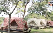 ภูหินร่องกล้าเตรียมลานกางเต็นท์รับนักท่องเที่ยว