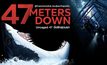 รู้จักฉลามหลากพันธุ์ ก่อนลุ้นระทึกสุดมันใน 47 Meters Down: Uncaged 47 ดิ่งลึกสุดนรก