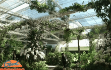 นักท่องเที่ยวชมกล้วยไม้หายากกว่า 500 ชนิด