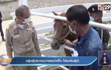 กลุ่มผู้ประกอบการรถม้าดีใจ ได้แม่พันธุ์ม้า