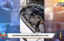 เจ้าหน้าที่เตือนช่วงฝนระวังสัตว์เลื้อยคลาน-มีพิษ