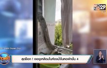 สุดช็อก ! เจองูเหลือมในห้องน้ำในหอพักชั้น 4