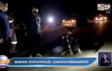 สุดสงสาร ช้างป่าเขาอ่างฤาไน ถูกรถพ่วง18ล้อชนแล้วหนี