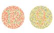 7 แบบทดสอบสายตา เห็นอะไรในภาพ สายตาคุณดีแค่ไหน ตาบอดสีหรือเปล่าลองเช็ค!