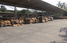 ชาวสวนยางร้องรัฐเร่งแก้ปัญหายางพารา