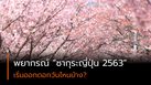 พยากรณ์ ซากุระญี่ปุ่น 2563 (อัปเดตล่าสุด)
