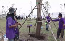 กรมป่าไม้ เปิดยุทธการ หยุดนายทุนปลูกยางในป่าสงวนฯ