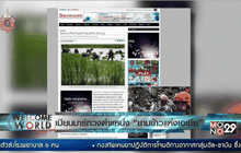 เมียนมาร์ทวงตำแหน่ง “ชามข้าวแห่งเอเชีย”