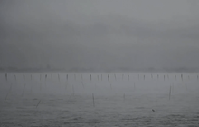 พะเยา ฝกตกตลอดคืน อุณหภูมิลด