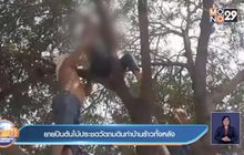 ยายปีนต้นไม้ประชดวัดถมดินทำบ้านร้าวทั้งหลัง