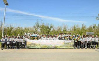 MEA มอบเสาไฟฟ้าปลดระวาง 1,020 ต้น หนุน “MEA’s Model” รวมพลังปลูกป่าชายเลนโกงกาง 1,100 ต้น