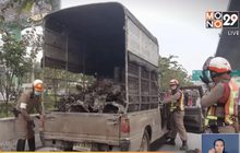 ควันพิษ “เครื่องยนต์ดีเซล”สาเหตุฝุ่นละออง