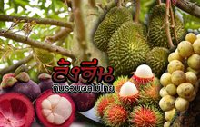 ล้งจีนกินรวบผลไม้ไทย