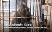 สวนสัตว์พาต้า ชี้แจงกรณีข่าวการขายลิงกอริลลา ‘บัวน้อย’ ในราคา 30 ล้าน