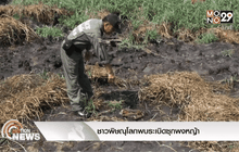 ชาวพิษณุโลกพบระเบิดซุกพงหญ้า