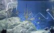 SEA LIFE Bangkok เผยคลิปการทำความสะอาด ระหว่างปิดให้บริการ