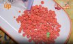 [FOLLOW UP] เปิดสาเหตุยาบ้า “ราคาถูก” ป.ป.ส. เผยผลิตได้มากขึ้น 100 เท่า – แถมสารตั้งต้นหาง่าย!