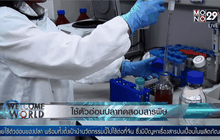 ใช้ตัวอ่อนปลาทดสอบสารพิษ