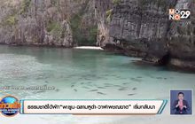 ธรรมชาติได้พักฟื้น! “พะยูน-ฉลามหูดำ-วาฬเพชฌฆาต” เริ่มกลับมา