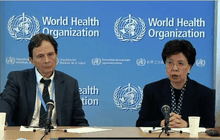 WHO คาดไวรัสซิกาแพร่กระจายมากขึ้น