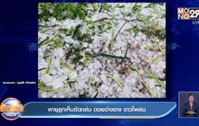 พายุฝน – ลูกเห็บพัดถล่มภาคเหนือ