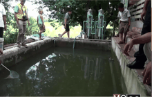 พบแมงกะพรุนในบ่อผลิตประปา จ.กาญจนบุรี