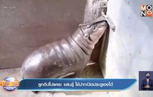 ลูกฮิปโปแคระ แสนรู้ ใช้ปากเปิดประตูเองได้