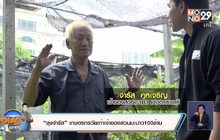 “ลุงจำรัส” เกษตรกรวัยเก๋าเจ้าของสวนมะนาว100ล้าน