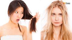 บอกลาผมแห้งเสียใน 3 ขั้นตอน ด้วยสารสกัดจากไฮโดรไลซ์ วีต โปรตีน