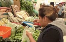 เม็กซิโกเริ่มใช้กฎหมายควบคุมถุงพลาสติก