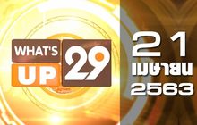 What’s up 29 21-04-63