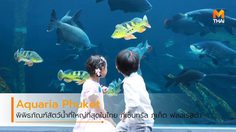 Aquaria Phuket พิพิธภัณฑ์สัตว์น้ำ ใหญ่ที่สุดในไทย ใจกลางห้าง เซ็นทรัล ภูเก็ต ฟลอเรสต้า