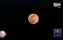 ทั่วโลกชมความงาม “ซูเปอร์ฟูลมูน”