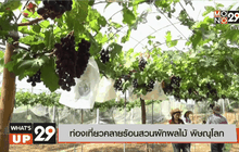 ท่องเที่ยวคลายร้อนสวนผักผลไม้ พิษณุโลก