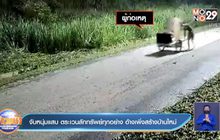 จับหนุ่มแสบ ตระเวนลักทรัพย์ทุกอย่าง อ้างเพิ่งสร้างบ้านใหม่