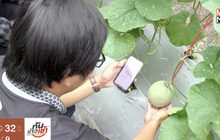“โคโค่ เมล่อนฟาร์ม” ฟาร์มยุคใหม่กับการใช้ IOT