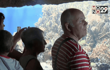 อะควาเรียมทางทะเลขนาดใหญ่ในรัสเซีย