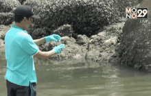 เก็บตัวอย่างน้ำทะเลหาดป่าตองหลังมีสีขุ่น