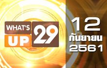 What’s up 29 12-09-61
