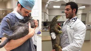 ชี้เป้า! คุณหมอหล่อมากกกกกกกกก Dr. Evan Antin สัตวแพทย์ ที่เซ็กซี่ที่สุดในโลก