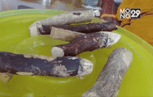 เลิกเหล้าจากรากไม้ 3 ชนิด