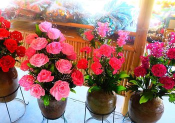 ต้นไม้ประดิษฐ์ สินค้า OTOP  ระดับ 4 ดาว ของดีอำเภอแสวงหา