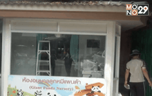 พี่เลี้ยงตกแต่งห้องอนุบาลเตรียมรับแพนด้าน้อยแล้ว