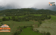 ป่าชุมชน “บ้านหัวทุ่ง” ร่วมอนุรักษ์ป่าอย่างสร้างสรรค์