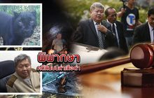 พิพากษาคดีสินบนล่าเสือดำ 11-06-62